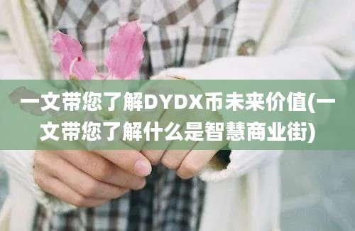 一文带您了解DYDX币未来价值(一文带您了解什么是智慧商业街)