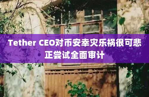 Tether CEO对币安幸灾乐祸很可悲正尝试全面审计