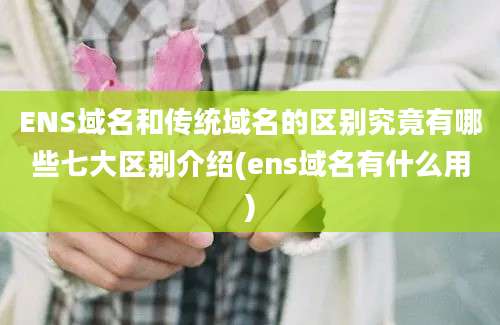 ENS域名和传统域名的区别究竟有哪些七大区别介绍(ens域名有什么用)