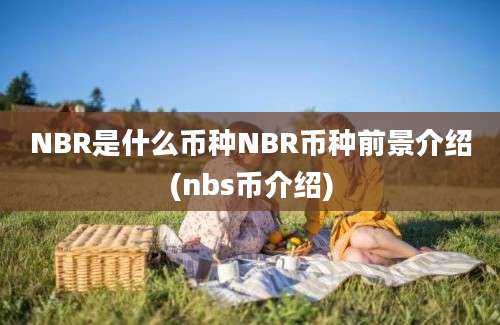 NBR是什么币种NBR币种前景介绍(nbs币介绍)