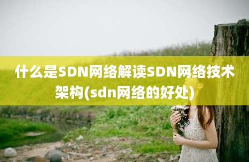 什么是SDN网络解读SDN网络技术架构(sdn网络的好处)