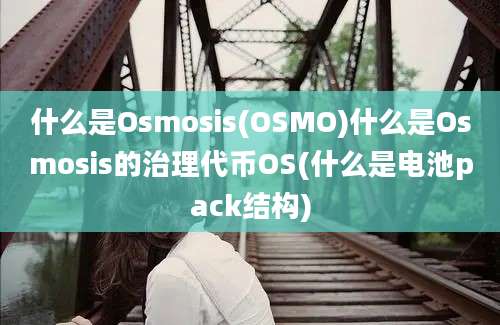 什么是Osmosis(OSMO)什么是Osmosis的治理代币OS(什么是电池pack结构)