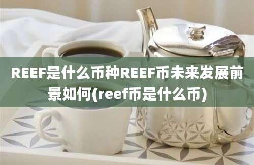 REEF是什么币种REEF币未来发展前景如何(reef币是什么币)