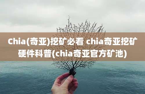 Chia(奇亚)挖矿必看 chia奇亚挖矿硬件科普(chia奇亚官方矿池)