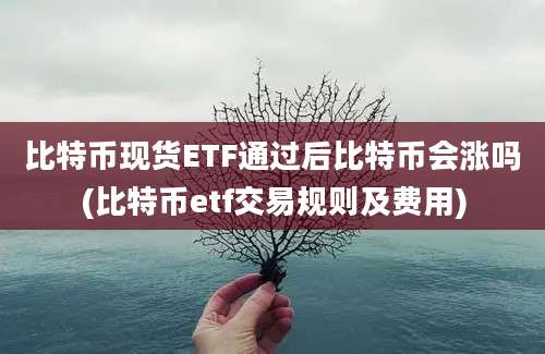 比特币现货ETF通过后比特币会涨吗(比特币etf交易规则及费用)