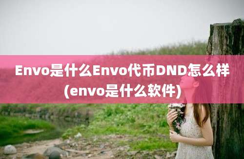 Envo是什么Envo代币DND怎么样(envo是什么软件)