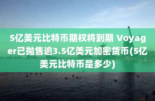 5亿美元比特币期权将到期 Voyager已抛售逾3.5亿美元加密货币(5亿美元比特币是多少)