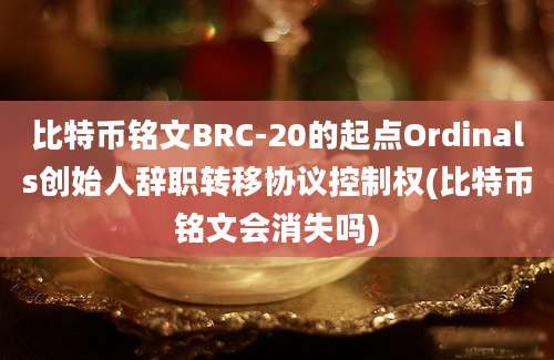 比特币铭文BRC-20的起点Ordinals创始人辞职转移协议控制权(比特币铭文会消失吗)