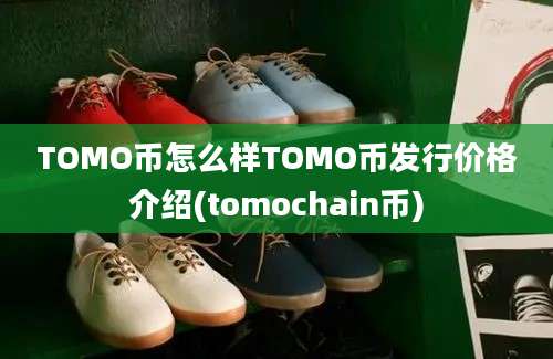 TOMO币怎么样TOMO币发行价格介绍(tomochain币)