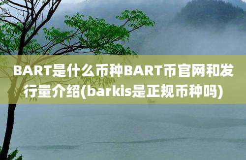 BART是什么币种BART币官网和发行量介绍(barkis是正规币种吗)