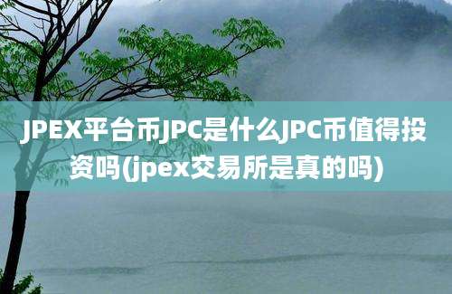 JPEX平台币JPC是什么JPC币值得投资吗(jpex交易所是真的吗)