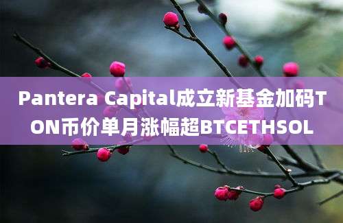 Pantera Capital成立新基金加码TON币价单月涨幅超BTCETHSOL