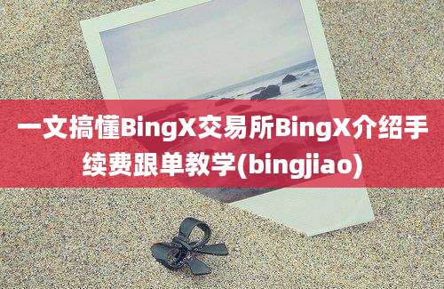 一文搞懂BingX交易所BingX介绍手续费跟单教学(bingjiao)