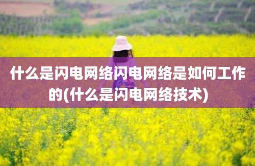 什么是闪电网络闪电网络是如何工作的(什么是闪电网络技术)