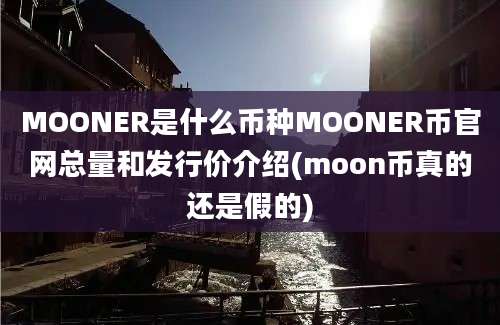 MOONER是什么币种MOONER币官网总量和发行价介绍(moon币真的还是假的)