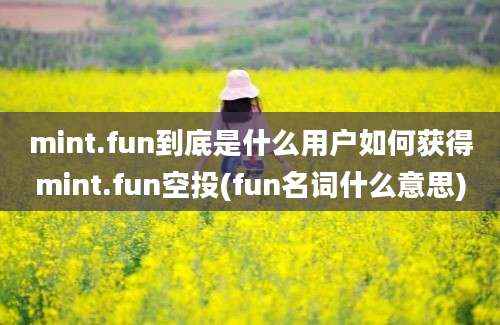 mint.fun到底是什么用户如何获得mint.fun空投(fun名词什么意思)