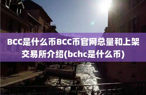 BCC是什么币BCC币官网总量和上架交易所介绍(bchc是什么币)