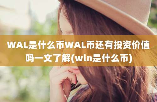 WAL是什么币WAL币还有投资价值吗一文了解(wln是什么币)