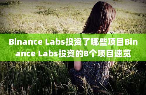 Binance Labs投资了哪些项目Binance Labs投资的8个项目速览