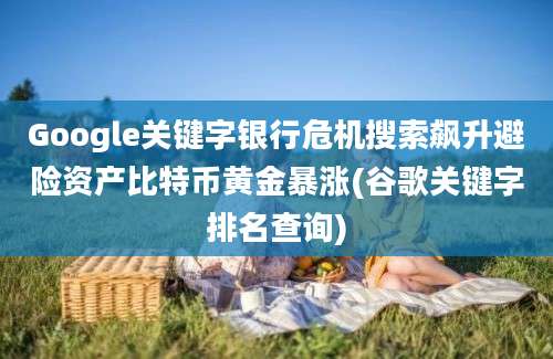 Google关键字银行危机搜索飙升避险资产比特币黄金暴涨(谷歌关键字排名查询)