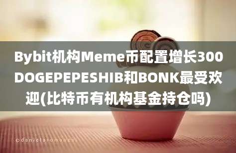 Bybit机构Meme币配置增长300DOGEPEPESHIB和BONK最受欢迎(比特币有机构基金持仓吗)