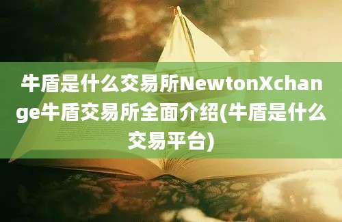 牛盾是什么交易所NewtonXchange牛盾交易所全面介绍(牛盾是什么交易平台)