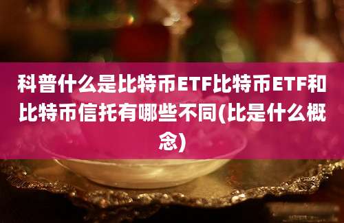 科普什么是比特币ETF比特币ETF和比特币信托有哪些不同(比是什么概念)