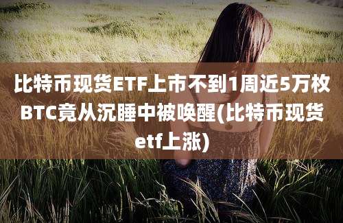 比特币现货ETF上市不到1周近5万枚BTC竟从沉睡中被唤醒(比特币现货etf上涨)