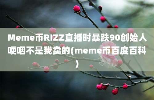 Meme币RIZZ直播时暴跌90创始人哽咽不是我卖的(meme币百度百科)