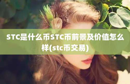 STC是什么币STC币前景及价值怎么样(stc币交易)