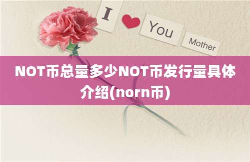 NOT币总量多少NOT币发行量具体介绍(norn币)