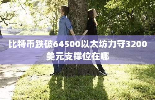 比特币跌破64500以太坊力守3200美元支撑位在哪