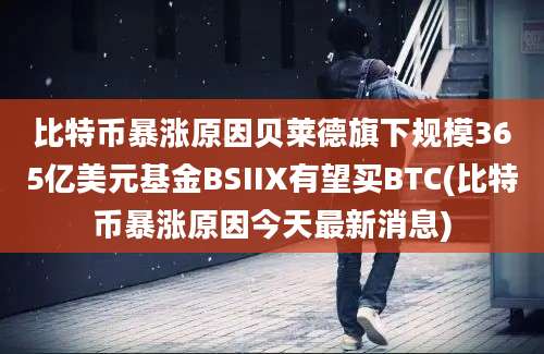 比特币暴涨原因贝莱德旗下规模365亿美元基金BSIIX有望买BTC(比特币暴涨原因今天最新消息)