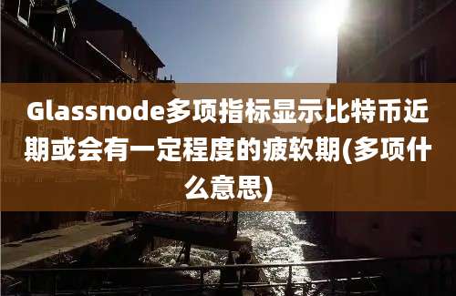 Glassnode多项指标显示比特币近期或会有一定程度的疲软期(多项什么意思)