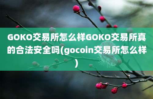 GOKO交易所怎么样GOKO交易所真的合法安全吗(gocoin交易所怎么样)