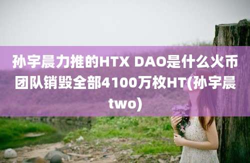 孙宇晨力推的HTX DAO是什么火币团队销毁全部4100万枚HT(孙宇晨two)