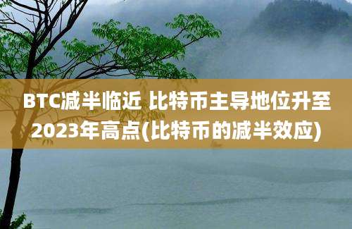 BTC减半临近 比特币主导地位升至2023年高点(比特币的减半效应)