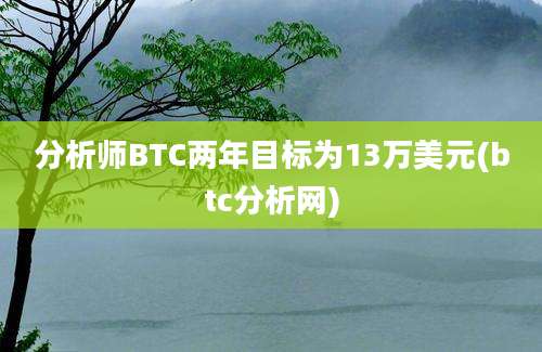 分析师BTC两年目标为13万美元(btc分析网)