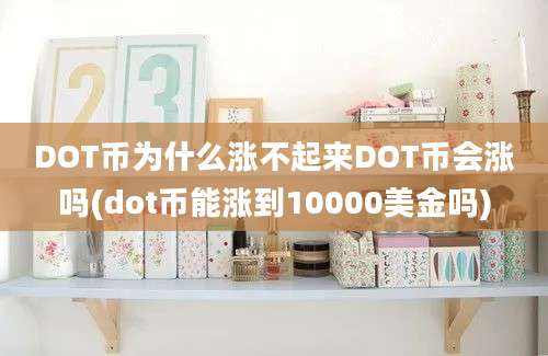 DOT币为什么涨不起来DOT币会涨吗(dot币能涨到10000美金吗)