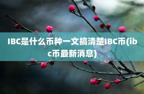 IBC是什么币种一文搞清楚IBC币(ibc币最新消息)