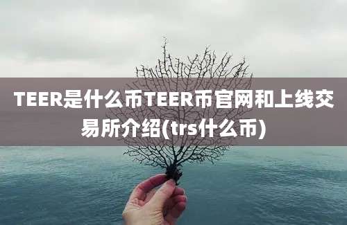 TEER是什么币TEER币官网和上线交易所介绍(trs什么币)