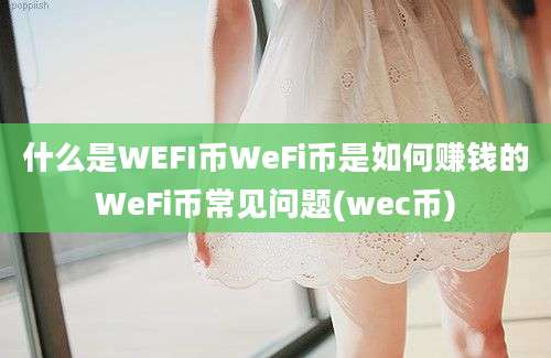 什么是WEFI币WeFi币是如何赚钱的WeFi币常见问题(wec币)