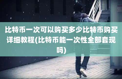 比特币一次可以购买多少比特币购买详细教程(比特币能一次性全部套现吗)