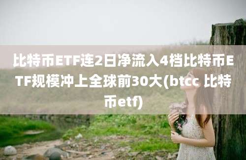 比特币ETF连2日净流入4档比特币ETF规模冲上全球前30大(btcc 比特币etf)