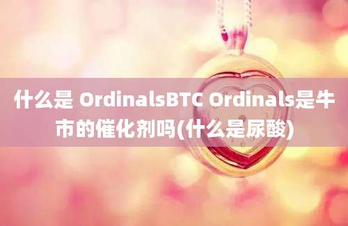 什么是 OrdinalsBTC Ordinals是牛市的催化剂吗(什么是尿酸)