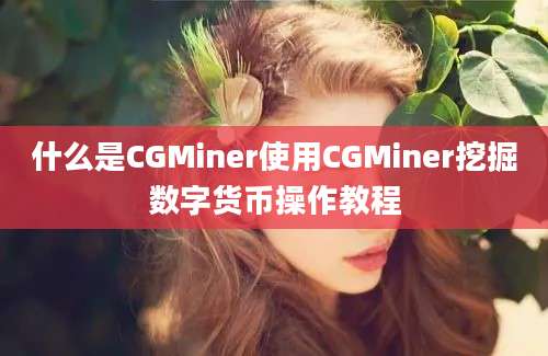 什么是CGMiner使用CGMiner挖掘数字货币操作教程