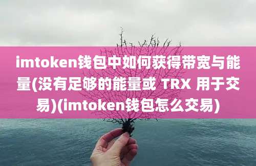 imtoken钱包中如何获得带宽与能量(没有足够的能量或 TRX 用于交易)(imtoken钱包怎么交易)