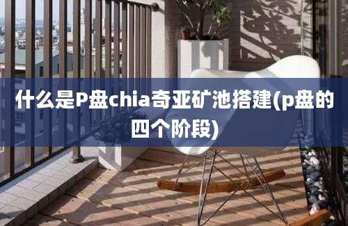 什么是P盘chia奇亚矿池搭建(p盘的四个阶段)