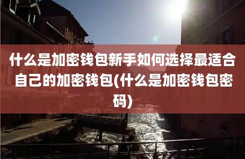 什么是加密钱包新手如何选择最适合自己的加密钱包(什么是加密钱包密码)