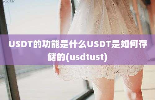 USDT的功能是什么USDT是如何存储的(usdtust)